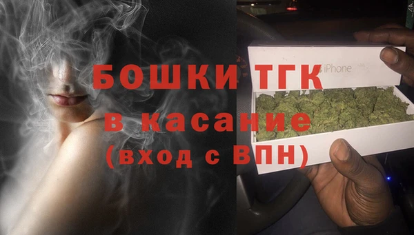 эйфоретик Инта