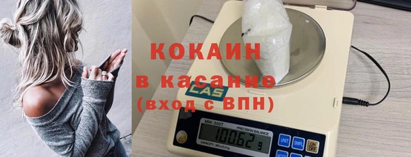 мдпв Инсар