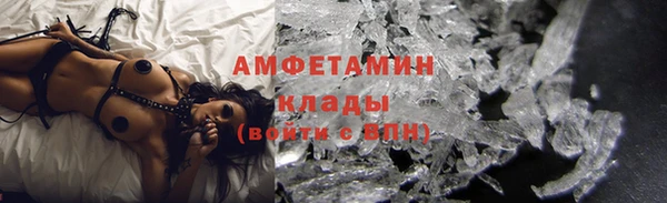 мдпв Инсар