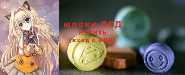 мдпв Инсар
