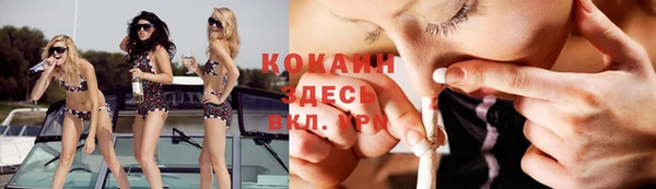 мдпв Инсар