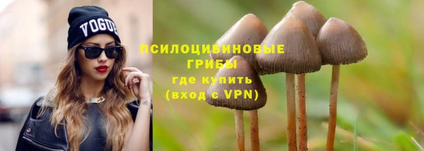 спиды Иннополис