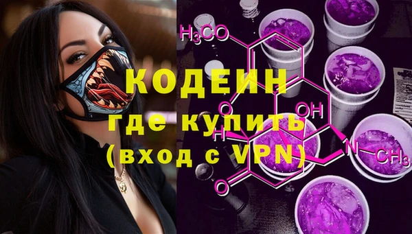 мдпв Инсар