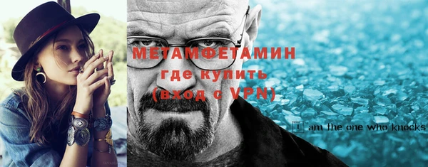 мдпв Инсар