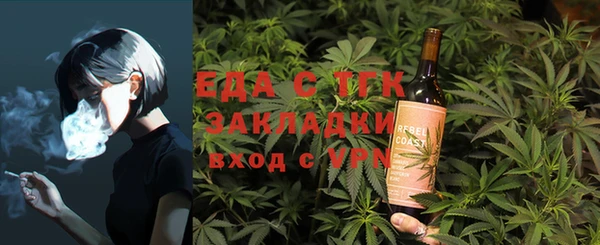 мдпв Инсар