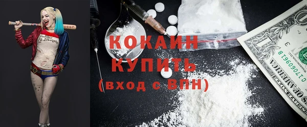 мдпв Инсар