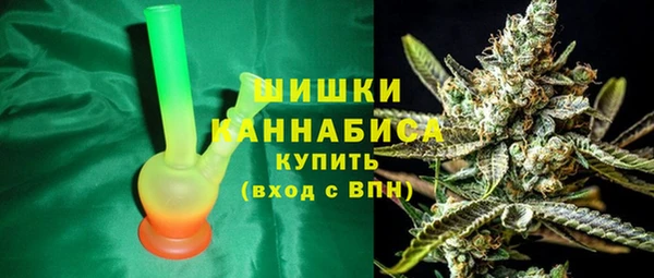 мдпв Инсар
