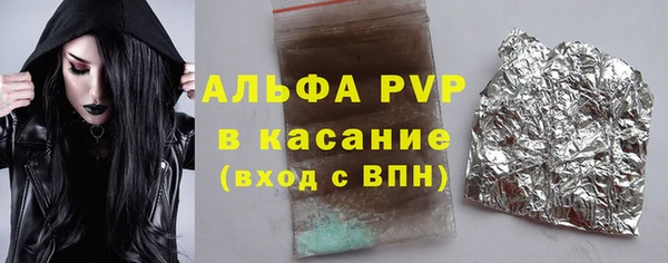 мдпв Инсар