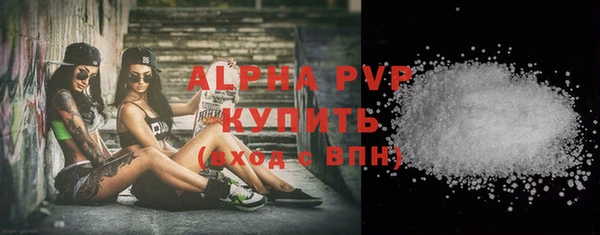 мдпв Инсар